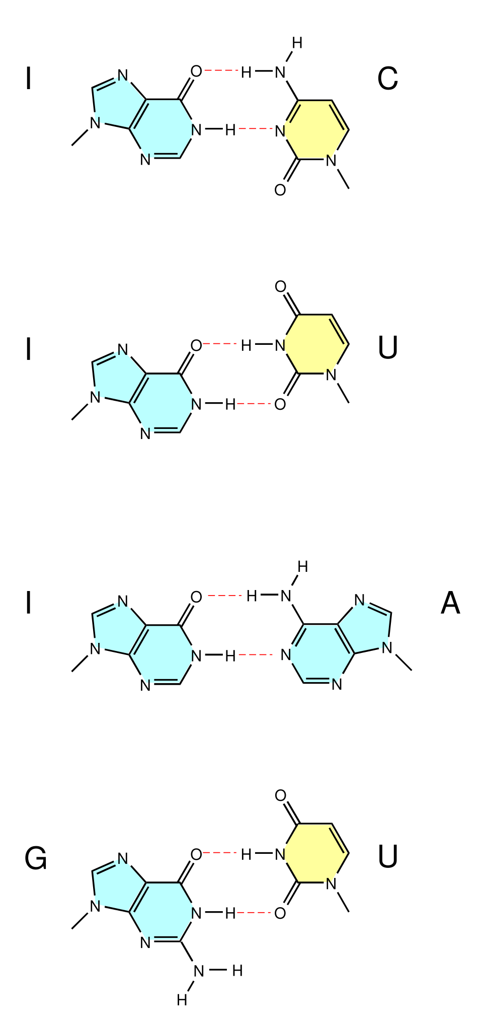 wobble pairing